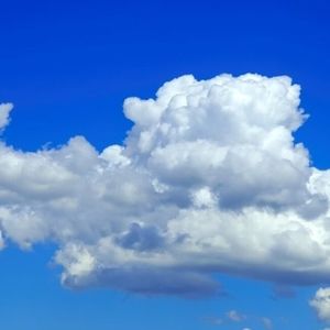 Meet your Posher, Jawan